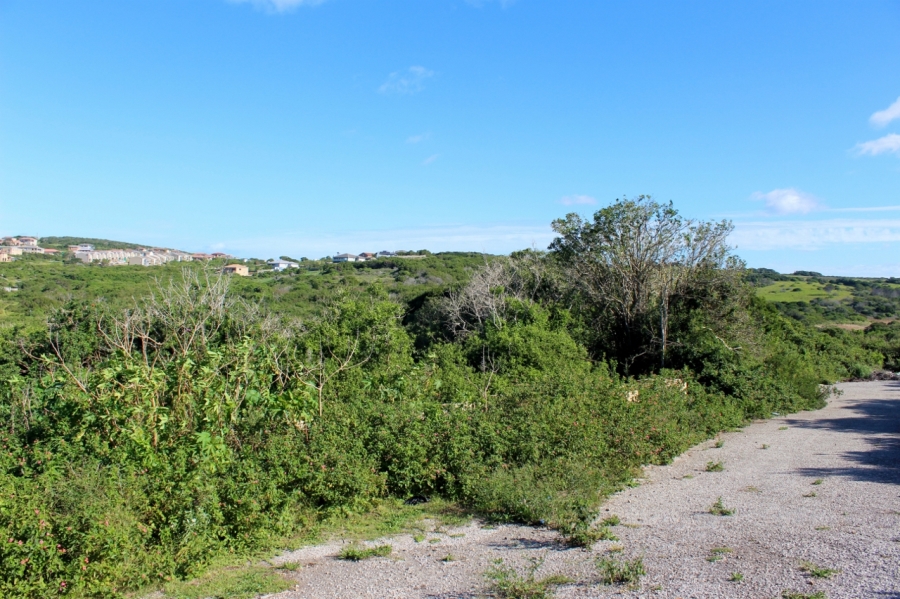 0 Bedroom Property for Sale in Forest Downs Eastern Cape